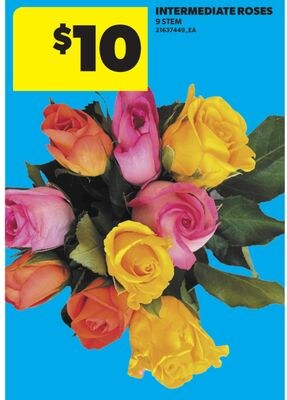 INTERMEDIATE ROSES, 9 STEM