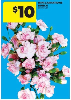MINI CARNATIONS BUNCH
