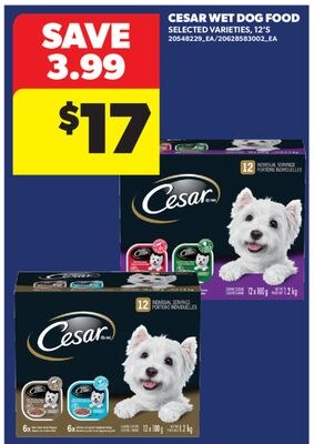 CESAR WET DOG FOOD, 12'S