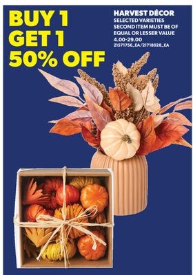 HARVEST DÉCOR