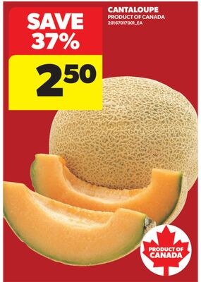 CANTALOUPE