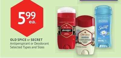 OLD SPICE or SECRET Antiperspirant or Deodorant