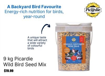 Picardie Wild Bird Seed Mix