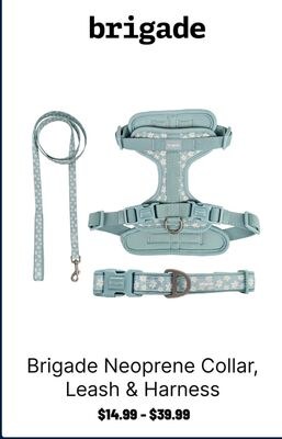 Brigade Neoprene Collar, Leash & Harness
