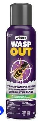 A Jet foam wasp & hornet killer