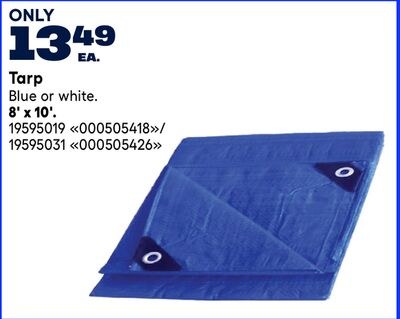 Tarp