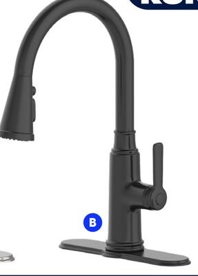Landon & Co."Laurence" pull-down kitchen faucet