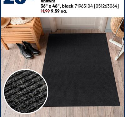 All interior rugs and doormats