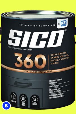 All sizes of SICO Specialty and 360 paint, 3.78…