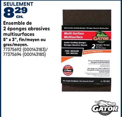 Ensemble de 2 éponges abrasives multisurfaces