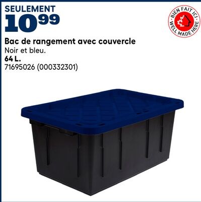 Bac de rangement avec couvercle RONA