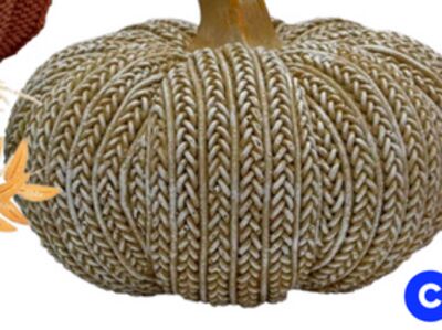 5" pumpkin