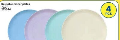 Reusable dinner plates
