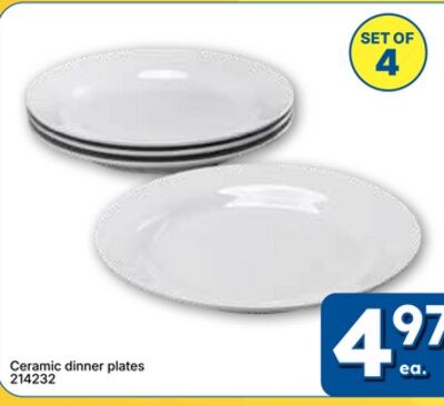 Ceramic dinner plates