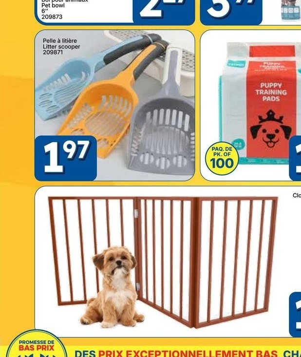 Bol pour animaux assortis