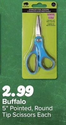 Buffalo 5" Pointed, Round Tip Scissors Each