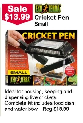 Cricket Pen Small