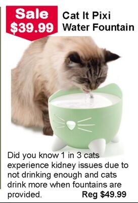 Cat It Pixi Water Fountain