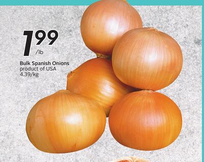 Bulk Spanish Onions