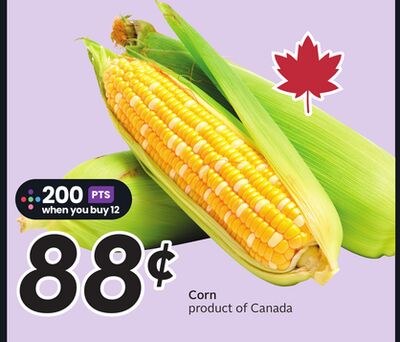 Corn