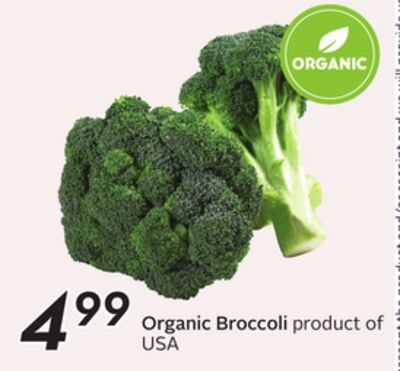 Organic Broccoli