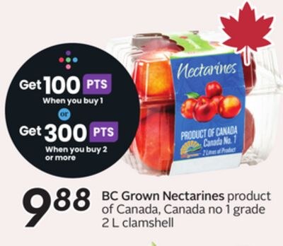 BC Grown Nectarines