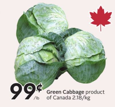 Green Cabbage