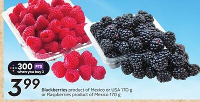 Blackberries product of Mexico or USA 170 g or …