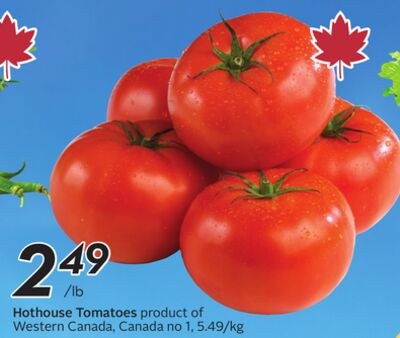 Hothouse Tomatoes