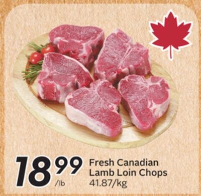 Fresh Canadian Lamb Loin Chops