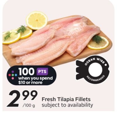 Fresh Tilapia Fillets