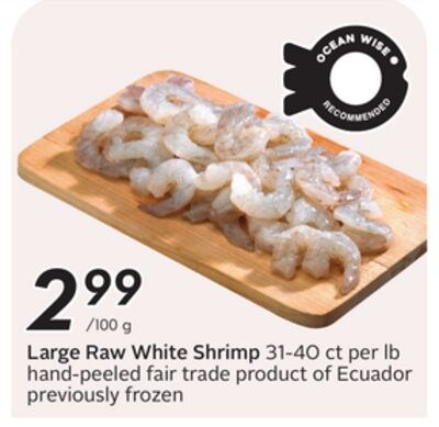 Large Raw White Shrimp