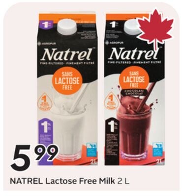 Lactose Free Milk