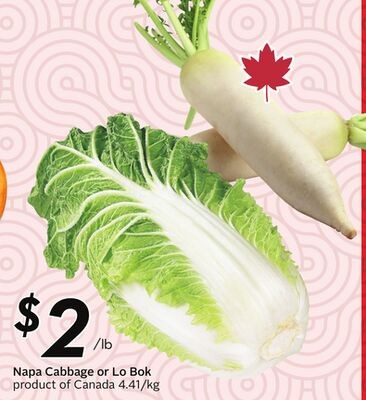 Napa Cabbage or Lo Bok