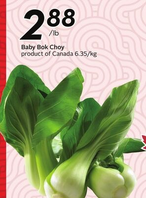 Baby Bok Choy