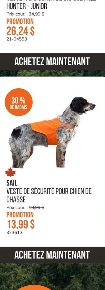 SAIL VESTE À CAPUCHON DE CHASSE FALL HUNTER - J…