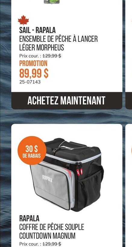 SAIL - RAPALA ENSEMBLE DE PECHE A LANCER LEGER …