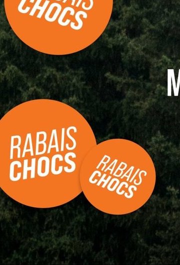 SAIL VESTE DE SÉCURITÉ POUR CHIEN DE CHASSE