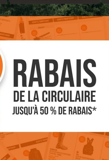 Remington - Carabine à air comprimé avec lunett…