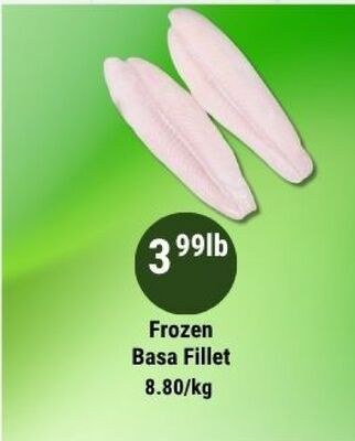 Frozen Basa Fillet