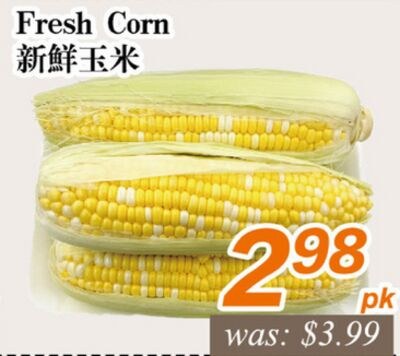 Fresh Corn
