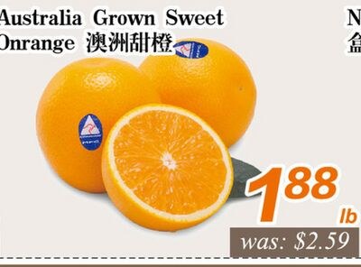 Australia Grown Sweet Orange