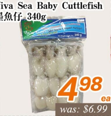 Viva Sea Baby Cuttlefish