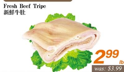 Fresh Beef Tripe