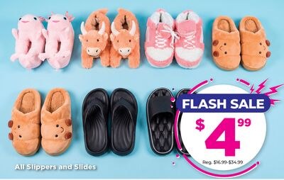 All Slippers and Slides