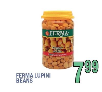 FERMA LUPINI BEANS