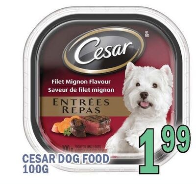 CESAR DOG FOOD