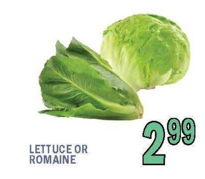 LETTUCE OR ROMAINE