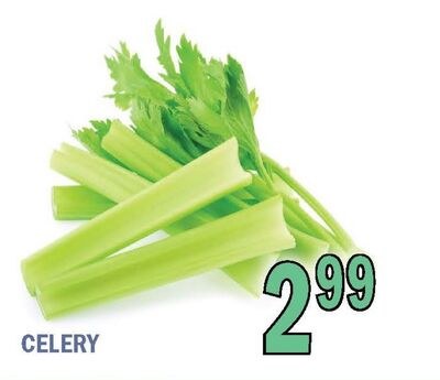 CELERY