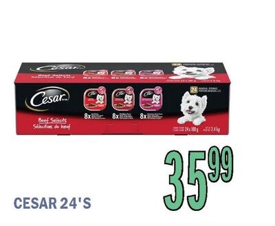 CESAR 24'S